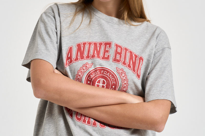 T-shirt donna Cade Tee collegiate girocollo grigia 12981 GRY1 ANINE BING 