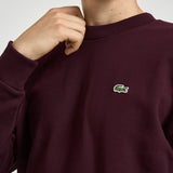 Felpa uomo a girocollo bordeaux SH8868 3KE LACOSTE 