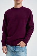 Maglione uomo girocollo melanzana RADLEY 00038M MC2 SAINT BARTH 