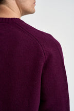 Maglione uomo girocollo melanzana RADLEY 00038M MC2 SAINT BARTH 