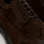 Scarpe uomo stringate in suede moro 52617A JAVA MOMA 