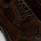 Scarpe uomo stringate in suede moro 52617A JAVA MOMA 