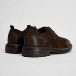 Scarpe uomo stringate in suede moro 52617A JAVA MOMA 