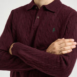 Maglia uomo polo bordeaux 710974165 500 RALPH LAUREN 