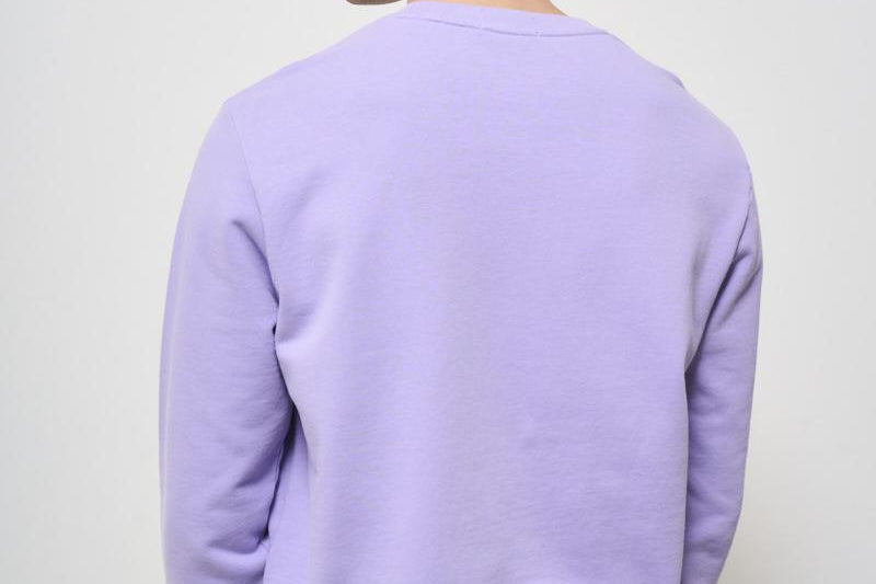 Felpa uomo girocollo lilla 710916689 028 RALPH LAUREN 