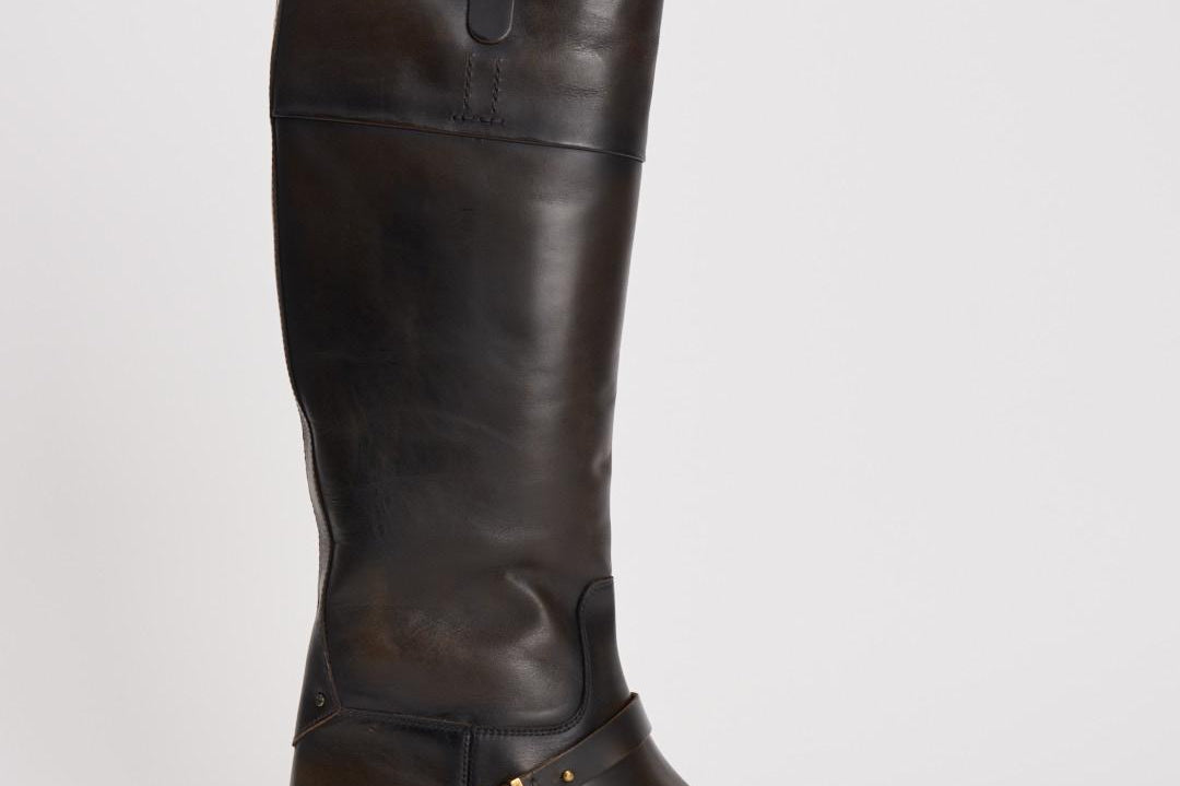 Stivali donna Charlie marroni GWF00897 F00763155390 GOLDEN GOOSE 