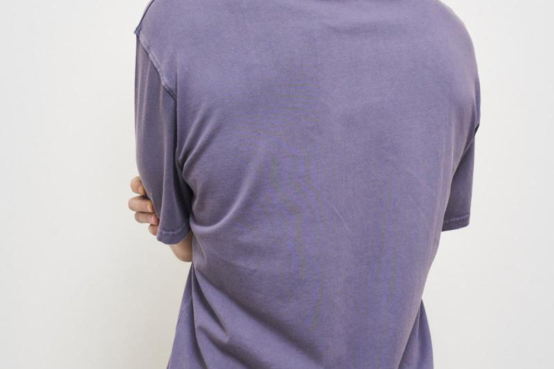 T-shirt uomo girocollo viola LDM101215 365365GREYSTONE LES DEUX 