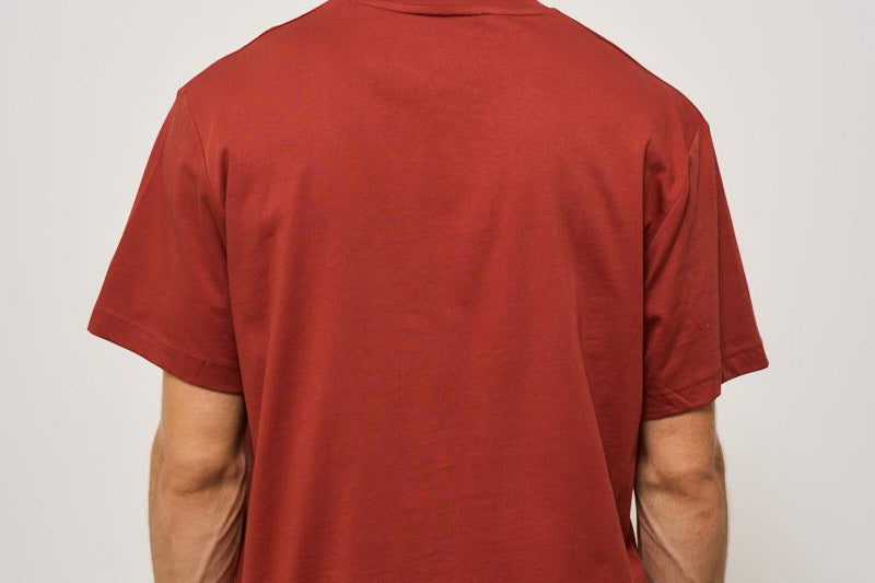 T-shirt uomo girocollo mattone TH7318 AFS LACOSTE 