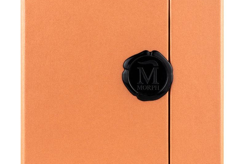 MORPH VISION<BR/> VISION  MORPH 