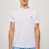 T-shirt uomo girocollo bianco TH6709 001 LACOSTE 