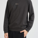 Felpa uomo girocollo oversize grigia 6100018 S0195V0062 STONE ISLAND 