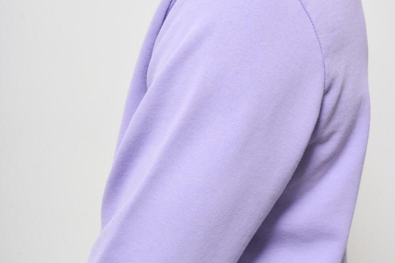 Felpa uomo girocollo lilla 710916689 028 RALPH LAUREN 