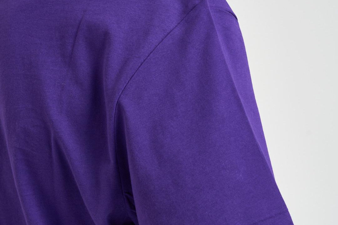 T-shirt uomo con stampa viola 710B14759 001 RALPH LAUREN 