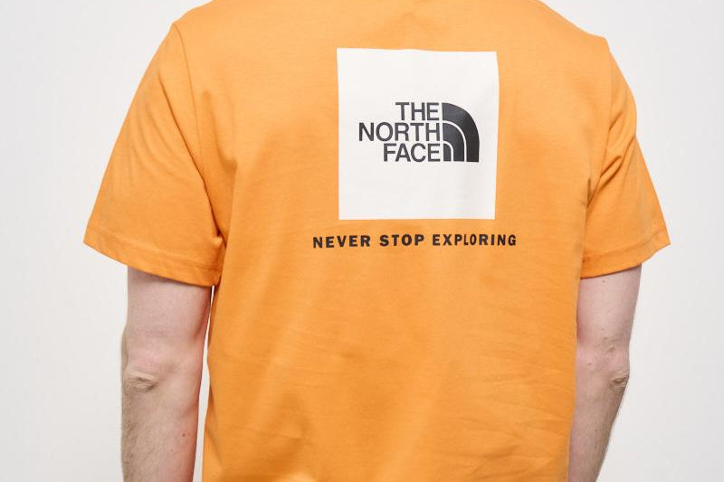 THE NORTH FACE NF0A87NPAQE1