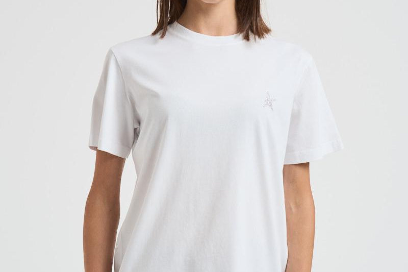 small star GWP01220 P00059480185 GOLDEN GOOSE 