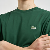 T-shirt uomo girocollo verde TH7318 132 LACOSTE 