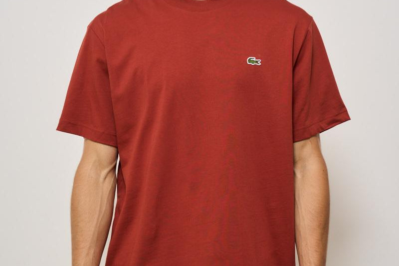 T-shirt uomo girocollo mattone TH7318 AFS LACOSTE 